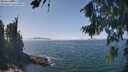 ./images/koeye/fitz-hugh/20260821/fitz-hugh20260821_134001M.jpg