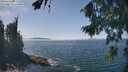 ./images/koeye/fitz-hugh/20260821/fitz-hugh20260821_134501M.jpg