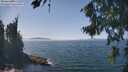 ./images/koeye/fitz-hugh/20260821/fitz-hugh20260821_135501M.jpg