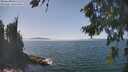 ./images/koeye/fitz-hugh/20260821/fitz-hugh20260821_140001M.jpg