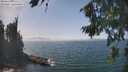 ./images/koeye/fitz-hugh/20260821/fitz-hugh20260821_140501M.jpg