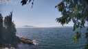 ./images/koeye/fitz-hugh/20260821/fitz-hugh20260821_141501M.jpg