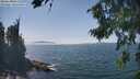 ./images/koeye/fitz-hugh/20260821/fitz-hugh20260821_142002M.jpg