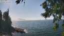 ./images/koeye/fitz-hugh/20260821/fitz-hugh20260821_143001M.jpg