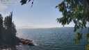 ./images/koeye/fitz-hugh/20260821/fitz-hugh20260821_143501M.jpg