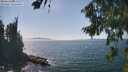 ./images/koeye/fitz-hugh/20260821/fitz-hugh20260821_144501M.jpg