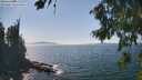 ./images/koeye/fitz-hugh/20260821/fitz-hugh20260821_145001M.jpg