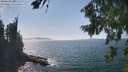 ./images/koeye/fitz-hugh/20260821/fitz-hugh20260821_150501M.jpg