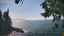 ./images/koeye/fitz-hugh/20260821/fitz-hugh20260821_152501M.jpg