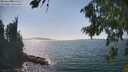 ./images/koeye/fitz-hugh/20260821/fitz-hugh20260821_153001M.jpg