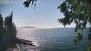 ./images/koeye/fitz-hugh/20260821/fitz-hugh20260821_154502M.jpg