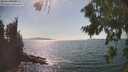 ./images/koeye/fitz-hugh/20260821/fitz-hugh20260821_160001M.jpg