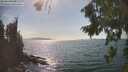 ./images/koeye/fitz-hugh/20260821/fitz-hugh20260821_160501M.jpg