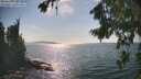 ./images/koeye/fitz-hugh/20260821/fitz-hugh20260821_162501M.jpg
