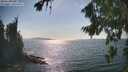 ./images/koeye/fitz-hugh/20260821/fitz-hugh20260821_163001M.jpg
