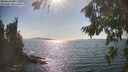 ./images/koeye/fitz-hugh/20260821/fitz-hugh20260821_163501M.jpg