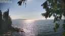 ./images/koeye/fitz-hugh/20260821/fitz-hugh20260821_164001M.jpg