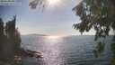 ./images/koeye/fitz-hugh/20260821/fitz-hugh20260821_164501M.jpg
