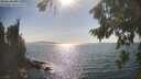 ./images/koeye/fitz-hugh/20260821/fitz-hugh20260821_165001M.jpg
