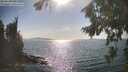 ./images/koeye/fitz-hugh/20260821/fitz-hugh20260821_165501M.jpg
