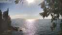 ./images/koeye/fitz-hugh/20260821/fitz-hugh20260821_170002M.jpg