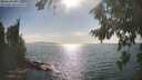 ./images/koeye/fitz-hugh/20260821/fitz-hugh20260821_170501M.jpg