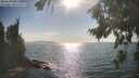 ./images/koeye/fitz-hugh/20260821/fitz-hugh20260821_171001M.jpg