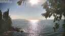 ./images/koeye/fitz-hugh/20260821/fitz-hugh20260821_171502M.jpg