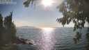 ./images/koeye/fitz-hugh/20260821/fitz-hugh20260821_172001M.jpg