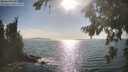 ./images/koeye/fitz-hugh/20260821/fitz-hugh20260821_172501M.jpg