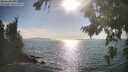 ./images/koeye/fitz-hugh/20260821/fitz-hugh20260821_173002M.jpg