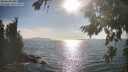 ./images/koeye/fitz-hugh/20260821/fitz-hugh20260821_173501M.jpg
