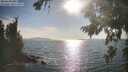 ./images/koeye/fitz-hugh/20260821/fitz-hugh20260821_174001M.jpg