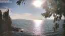 ./images/koeye/fitz-hugh/20260821/fitz-hugh20260821_174501M.jpg