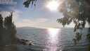 ./images/koeye/fitz-hugh/20260821/fitz-hugh20260821_175001M.jpg