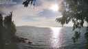 ./images/koeye/fitz-hugh/20260821/fitz-hugh20260821_181001M.jpg