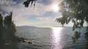 ./images/koeye/fitz-hugh/20260821/fitz-hugh20260821_181501M.jpg