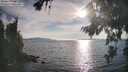 ./images/koeye/fitz-hugh/20260821/fitz-hugh20260821_182001M.jpg