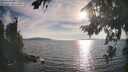 ./images/koeye/fitz-hugh/20260821/fitz-hugh20260821_182501M.jpg