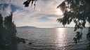 ./images/koeye/fitz-hugh/20260821/fitz-hugh20260821_183002M.jpg