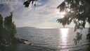 ./images/koeye/fitz-hugh/20260821/fitz-hugh20260821_185001M.jpg