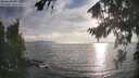 ./images/koeye/fitz-hugh/20260821/fitz-hugh20260821_185501M.jpg
