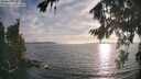 ./images/koeye/fitz-hugh/20260821/fitz-hugh20260821_190501M.jpg