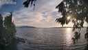 ./images/koeye/fitz-hugh/20260821/fitz-hugh20260821_192501M.jpg