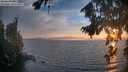 ./images/koeye/fitz-hugh/20260821/fitz-hugh20260821_202001M.jpg