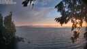 ./images/koeye/fitz-hugh/20260821/fitz-hugh20260821_202501M.jpg