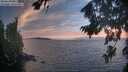 ./images/koeye/fitz-hugh/20260821/fitz-hugh20260821_203501M.jpg
