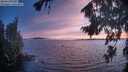 ./images/koeye/fitz-hugh/20260821/fitz-hugh20260821_204502M.jpg