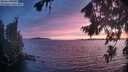 ./images/koeye/fitz-hugh/20260821/fitz-hugh20260821_205501M.jpg