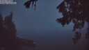 ./images/koeye/fitz-hugh/20260822/fitz-hugh20260822_054501M.jpg